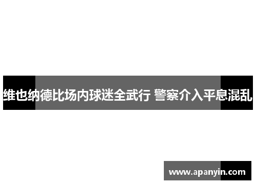 维也纳德比场内球迷全武行 警察介入平息混乱